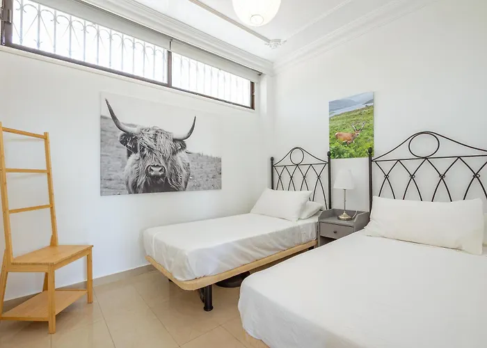 Hdfm Collection - Yumbo Centrum Appartement *